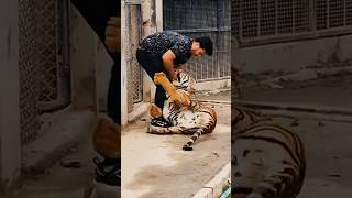 Einer der schlimmsten Tierquäler auf Social Media‼ Nouman Hassan #pikayzo #deutschrap #tiere