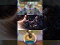 TFT - DIA 10 EXPLICANDO CAMPEÕES | ORIANNA #teamfighttactics #tftmobile #tft