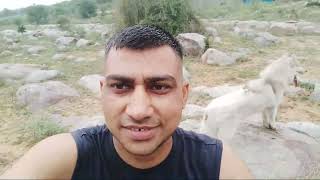 Siberian husky long coat black German shepherd abhaypetslover youtubevideo gsd h