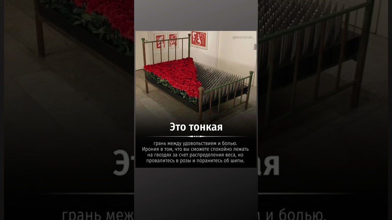 #мемы_тикток