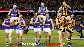 Champions Go Out In Styleafter The Dogs Roar 2017Episode 31