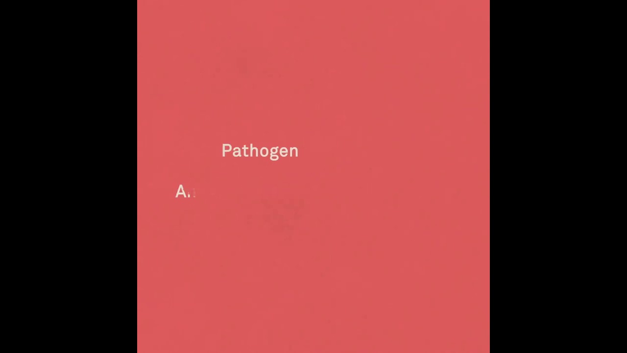 first of all know about "vaccine" word. 