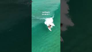Sunny sand bar days 🏄🏼‍♀️: 🚁: #surf #surfing #surfers #hawaii #paradise #northshore #oahu