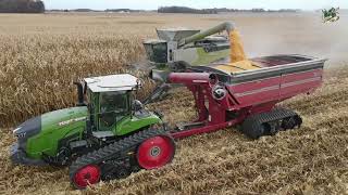 Corn Harvest 2023 Video from Darke County Ohio | Claas Lexion 8600 Combine by Mike Less - Farmhand Mike 40,916 views 2 months ago 24 minutes