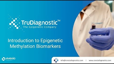 Introduction to Epigenetic Methylation and Advanced Biological Age Testing