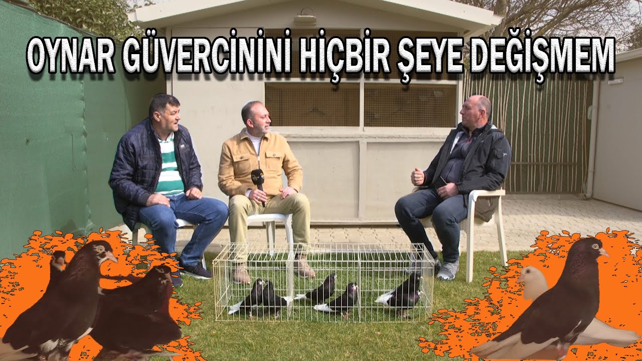 Oynar Güvercinini Hiçbir Şeye Değişmem!