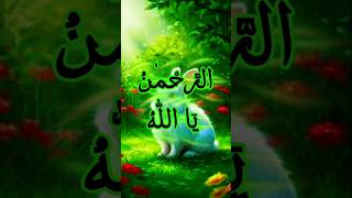 Powerful Islamic insights| powerful names of Allah #islamicreminder#shorts #islamicstatus#shortsfeed