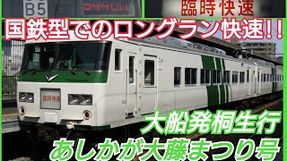 【185系】定期運転勇退後、初の臨時列車運行! [あしかが大藤まつり]号に乗ってきた!! (大船→桐生間)