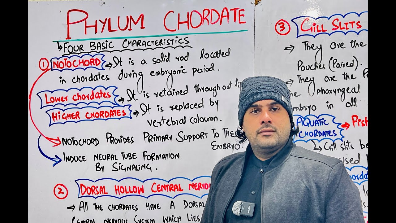 Лекция 12 | Основные характеристики хордовых | Лектор М. Саджад Хан |