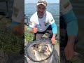 РП по риболов на плувка яз.Овчарица тренировки #mftackle  #fishing