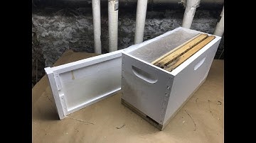 Making queen mating nuc using 5-frame nuc box