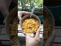 Maggie ASMR #shorts #youtubeshorts #itsprachi #maggieasmr #food