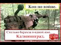 Позиции вермахта.Коп по войне ."Железный лес".Калининград.