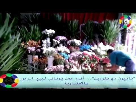 بافيون دي فلوريل أقدم محل يوناني لبيع الزهور بالإسكندرية