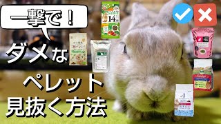 【一撃で】ダメなうさぎ用ペレットを見抜く方法