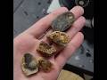 Polishing on the Flat Lap #flatlap #lapidary #rockhound #rockhounding