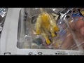 ポケットモンスター モンコレEX EHP_13 ネクロズマ (たそがれのたてがみ)