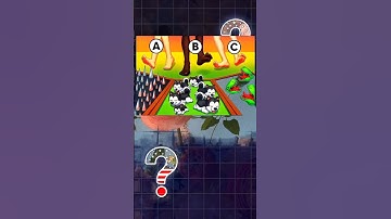 guess which path is safe !? #mindbendingquiz #riddlejourney #quiztime