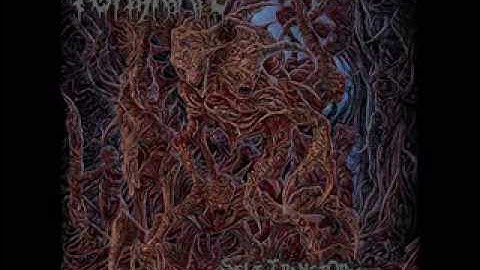 NSE RECORDS - ASPHYXIATE - SELF TRANSFORM FROM DECAYED FLESH