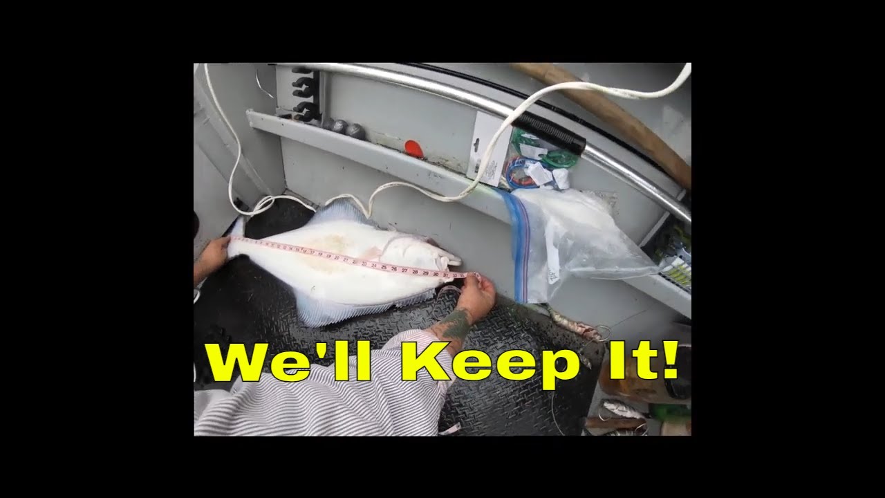 Halibut Fishing Out of Newport, Oregon YouTube