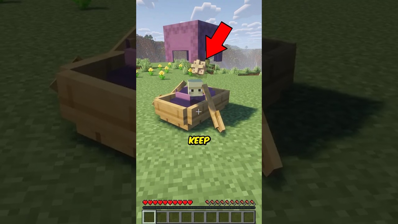 Can You Fly on Survival Mode?!