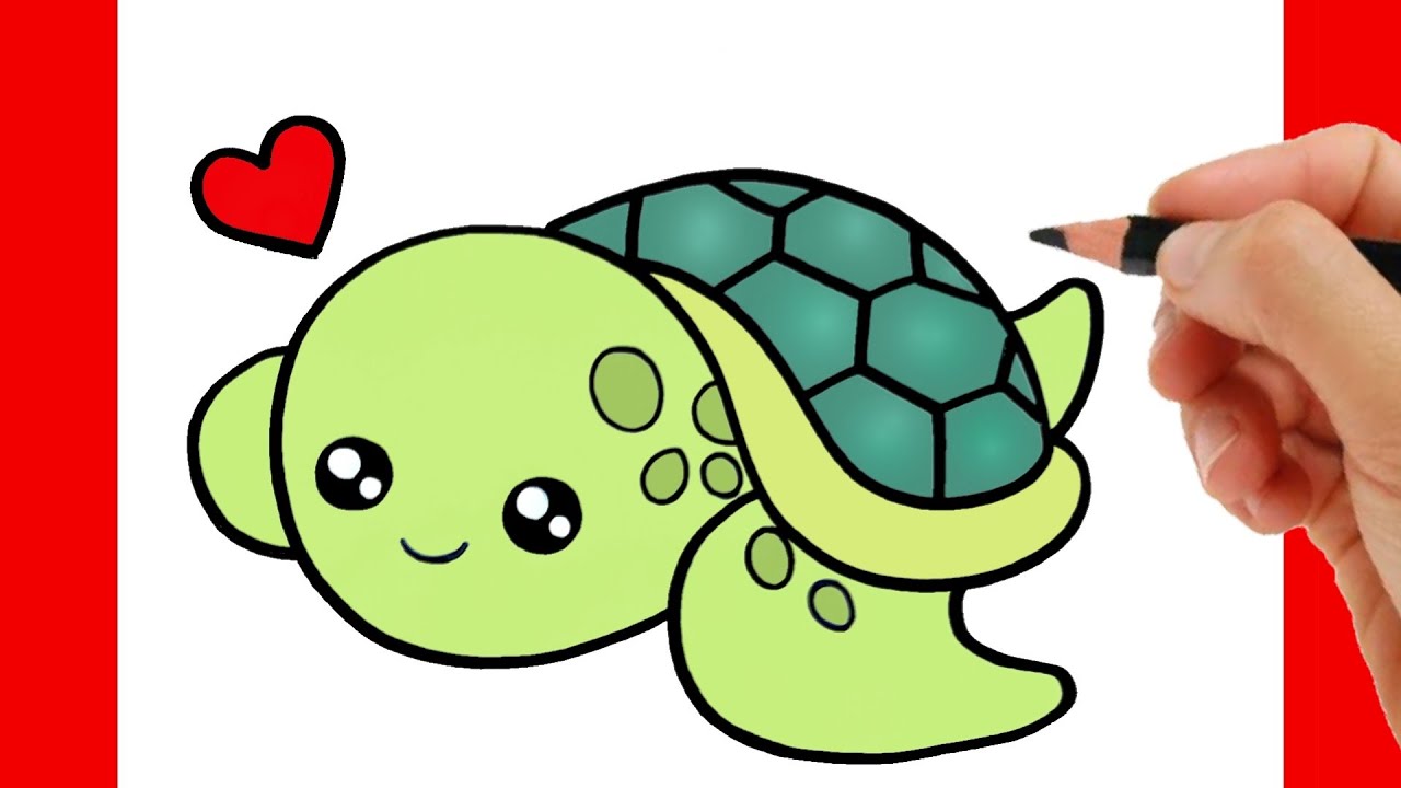 HOW TO DRAW A CUTE TURTLE EASY STEP BY STEP - YouTube