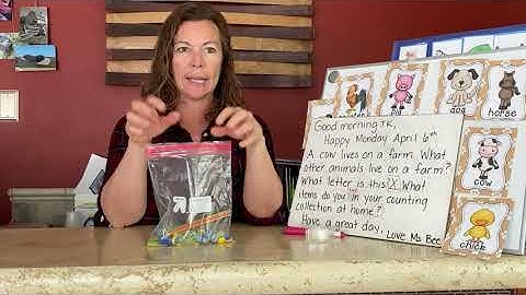 Introduction to Counting Collections