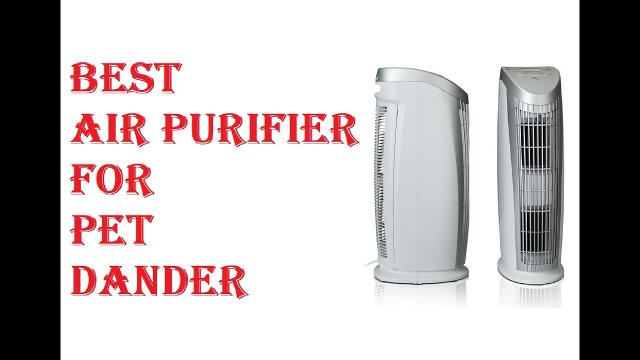 Best Air Purifier For Pet Dander 2020 - YouTube