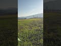 Newnepali#songs2082@songslovernp