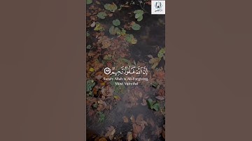 سورة النساء قارئ الشيخ / عبدالرحمن مسعود