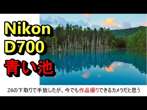 ⌘完動品！ 電池付き、作例あり！Nikon AD3⌘ ⌘完動品！ 電池