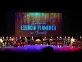 Zambomba esencia flamenca en navidad 2023  concierto especial para laad gran poder los palacios