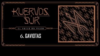 Vignette de la vidéo "Kuervos del Sur - 06 Gaviotas"