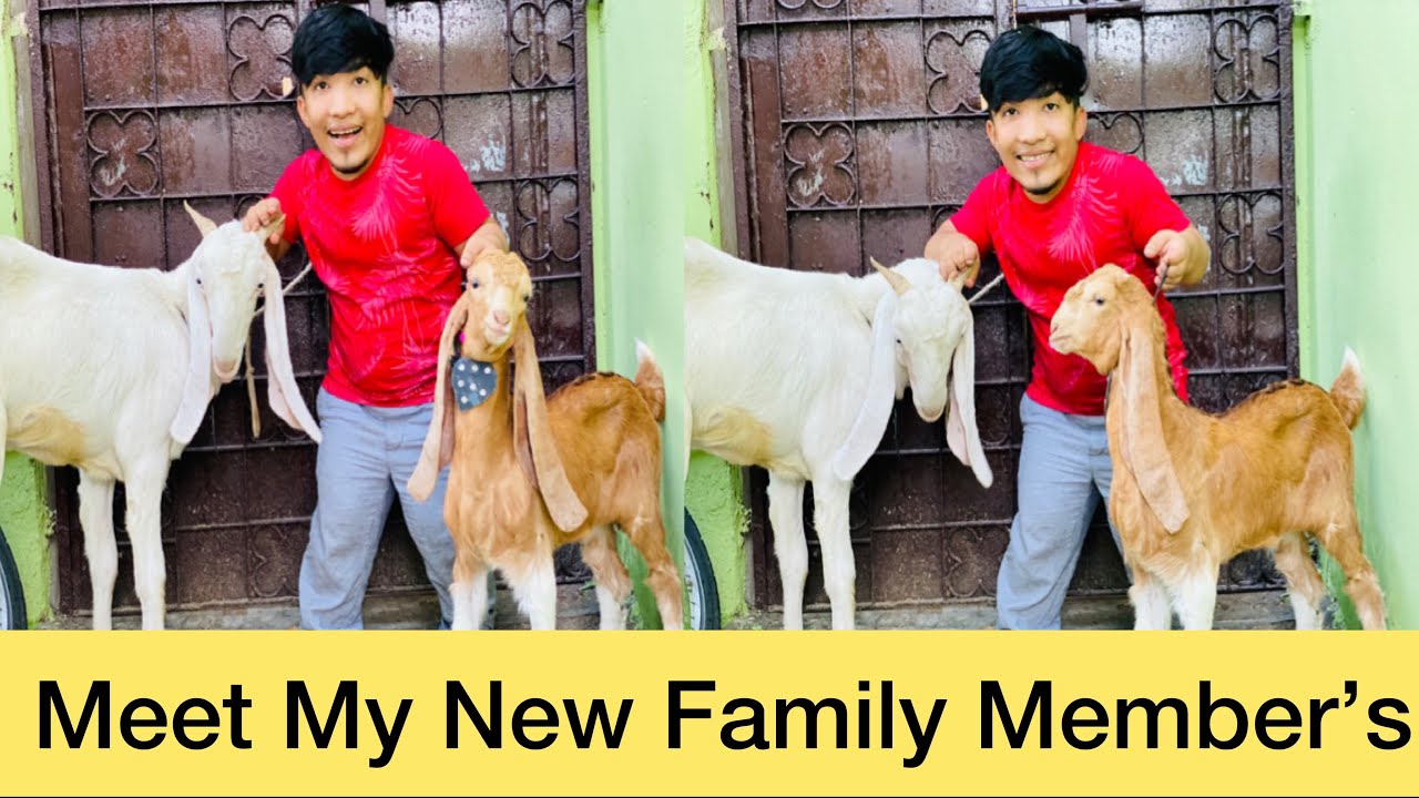 Meet My New Family Member’s Vlog By ||Rizwan khan|| 2021