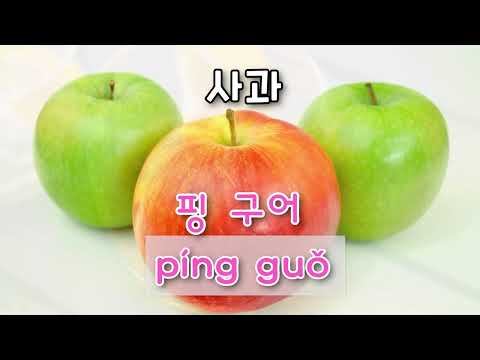 [제8과] 과일송