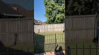 VLOGTOBER day 17 The Good Year Blimp went over our neighborhood!