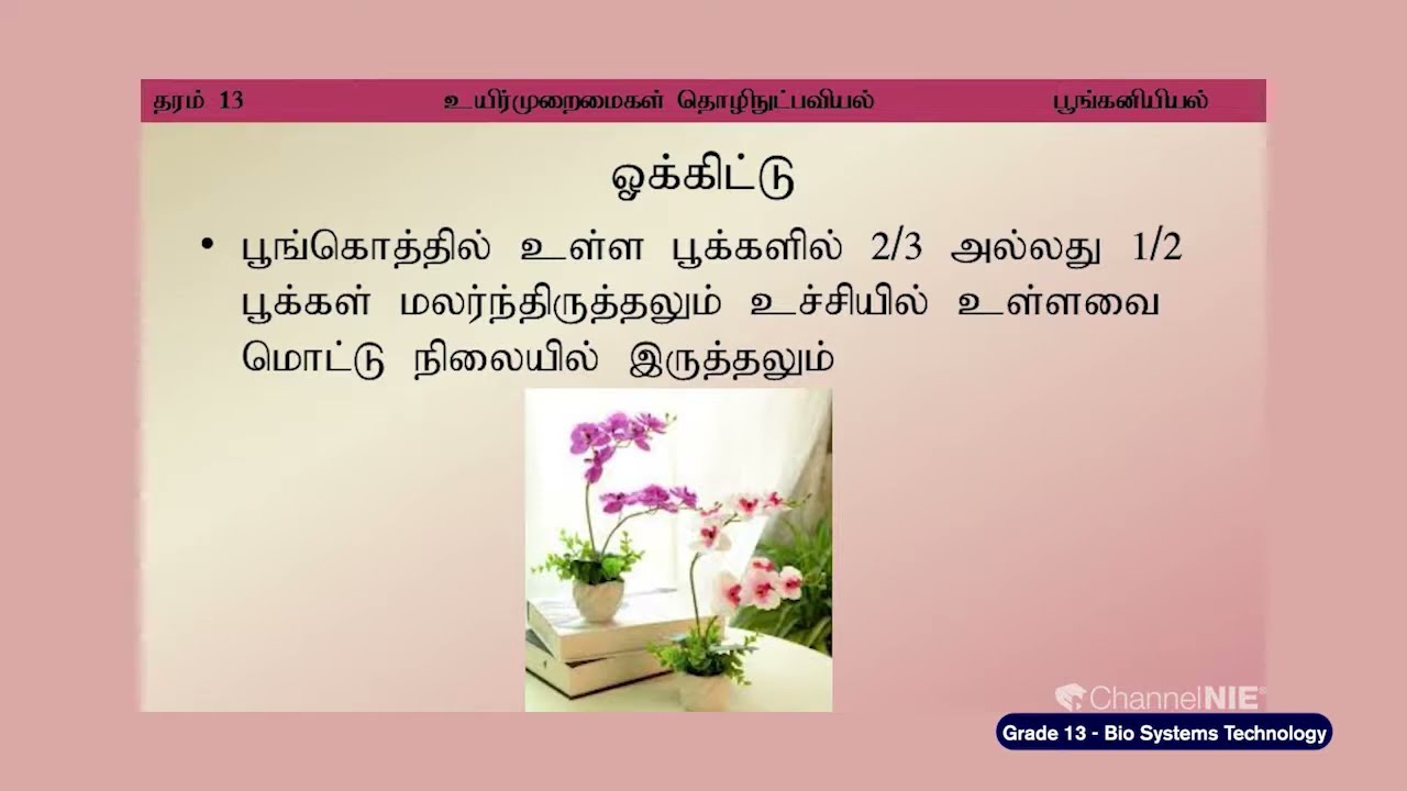 A/L Bio Systems Technology (உயிர்முறைமைகள் தொழினுட்பவியல்) - தரம் 13 -N 33