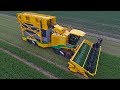 The yellow tracked monster | *Brand New* Ploeger MKC-4TR | coriander harvest