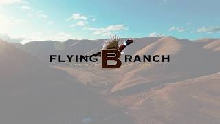 Why the Flying B Ranch is a must-see for wingshooters at SCI and DSC 2019
