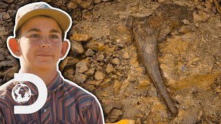 31Inch Dinosaur Horn Fossil Found | Dino Hunters