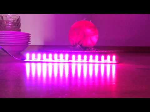 Aurora Strip demo