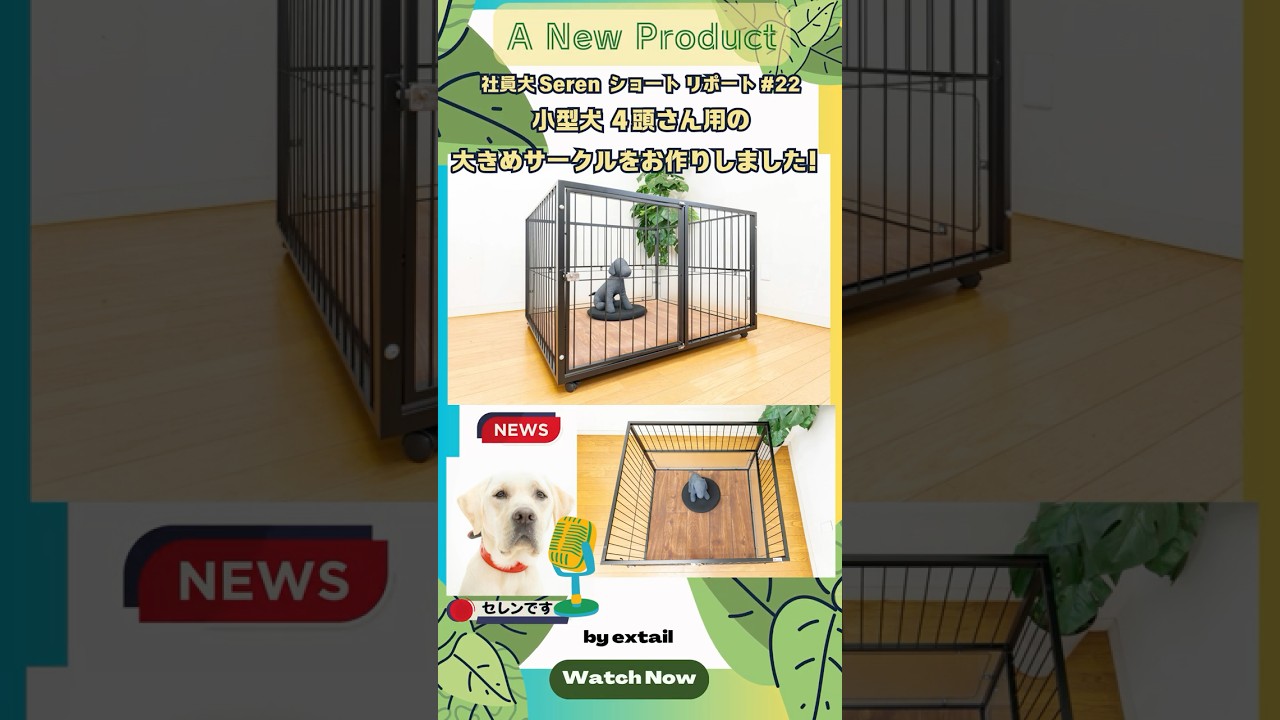 小型犬 多頭飼い向けドッグサークルをお作りしました #extail