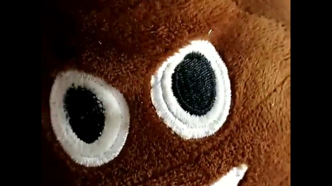 My poop slippers say some intelligent shit!