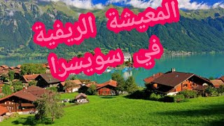 معيشة ريفية في سويسرا ?جنة فوق الارض ما احلاها