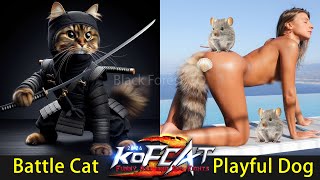 🔥Try Not To Laugh🤣Comical Cats and Dogs Fights for Brawl Stars😻🐶Funniest Animals Battles 92😹🥊🐶🥋🤼