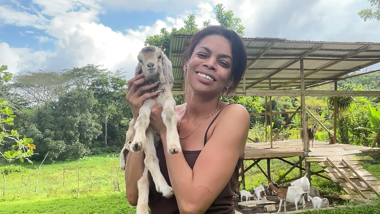 I have a baby meet my new child sad news 