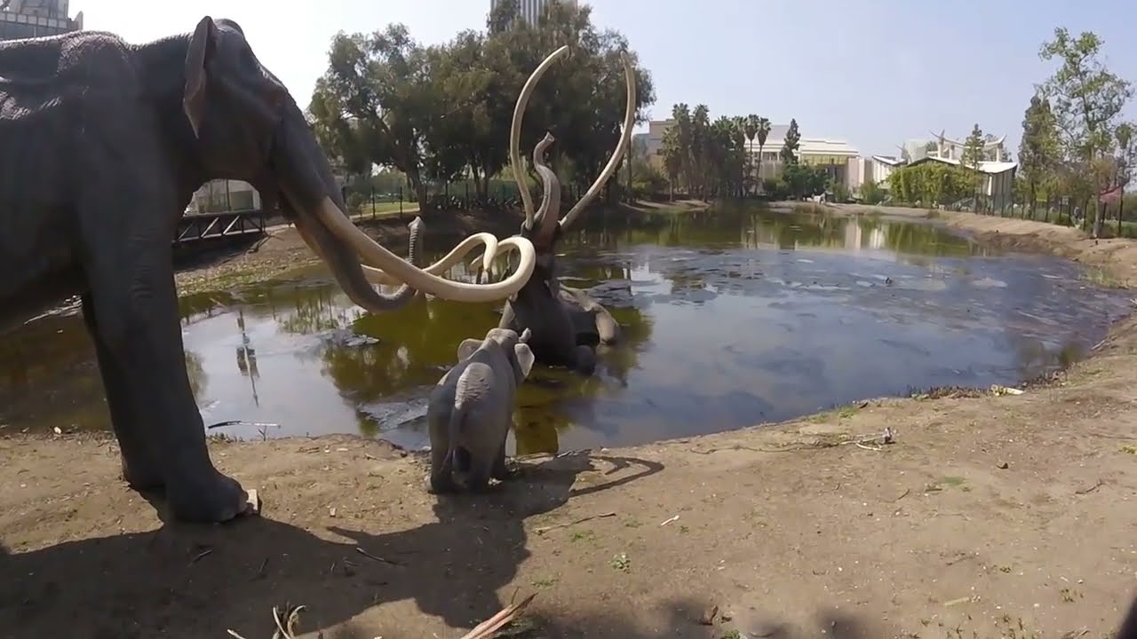 La Brea Tar Pits Los Angeles, CA - YouTube