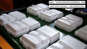 PS foam lunch box polystyrene white styrofoam food containers making machine