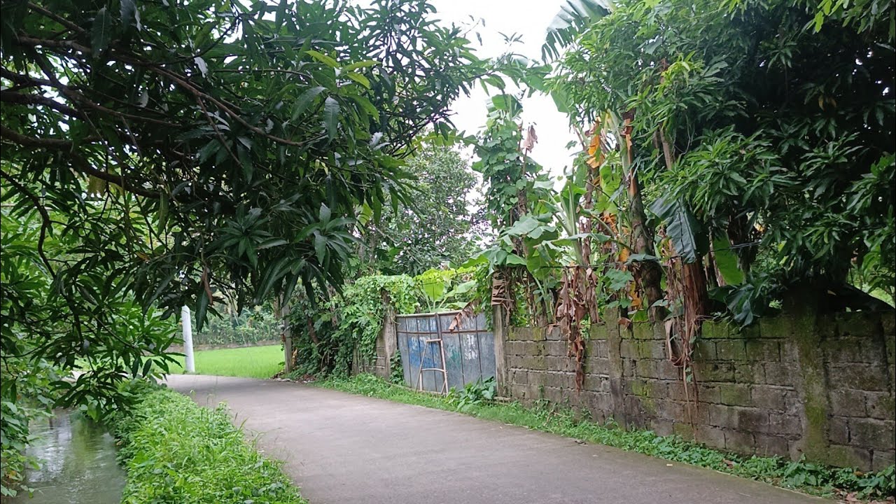 (P# 852) 2.3 hectares farm Lot may bakod na sa Pila, Laguna for sale