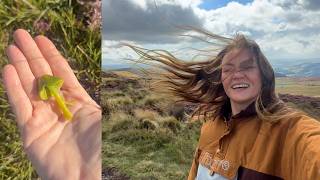The Mushrooms are Here! | Searching for Magic in the Moors